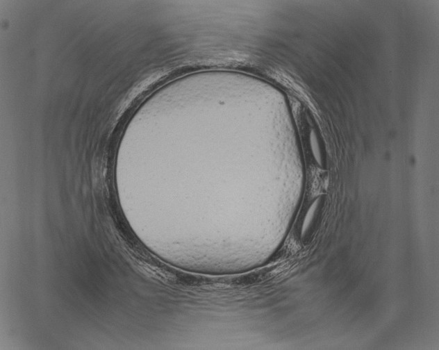 X0000066940483200604211754