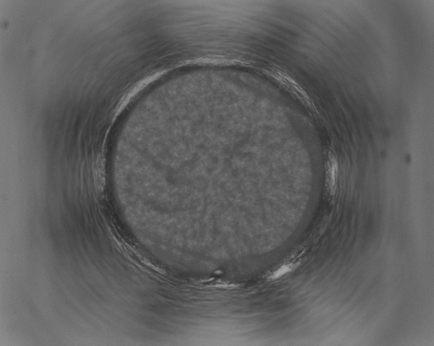 X0000066940484200604211754