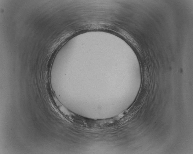 X0000066940485200604211754