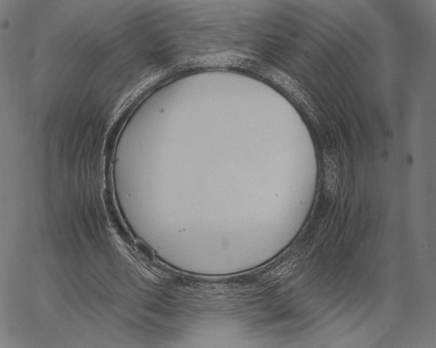 X0000066940486200604211754