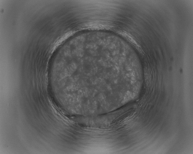 X0000066940488200604211753