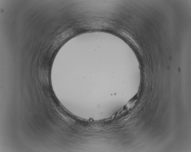 X0000066940489200604211753