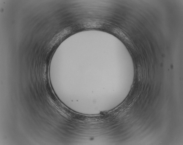 X0000066940490200604211753