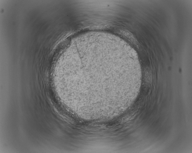 X0000066940491200604211753