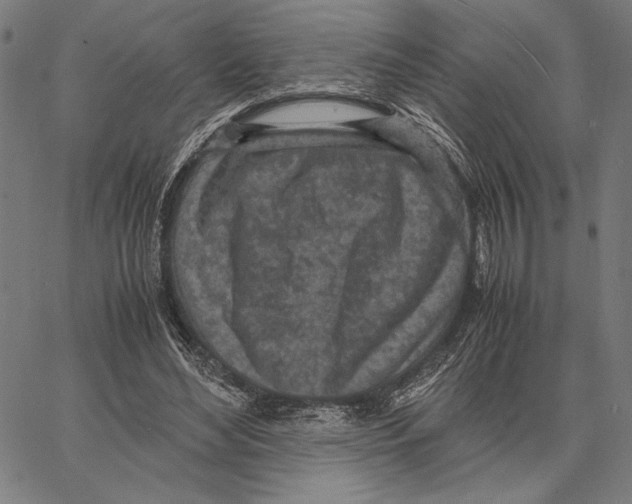 X0000066940492200604211753