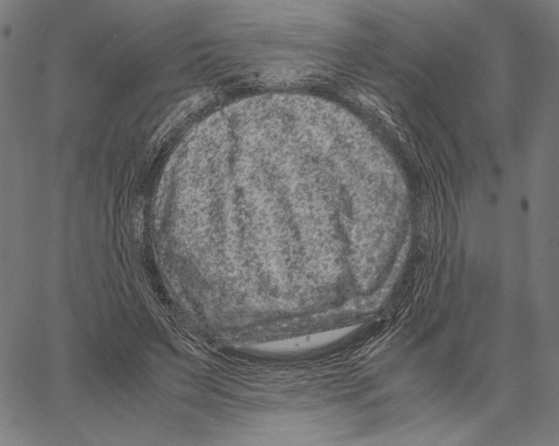 X0000066940495200604211753