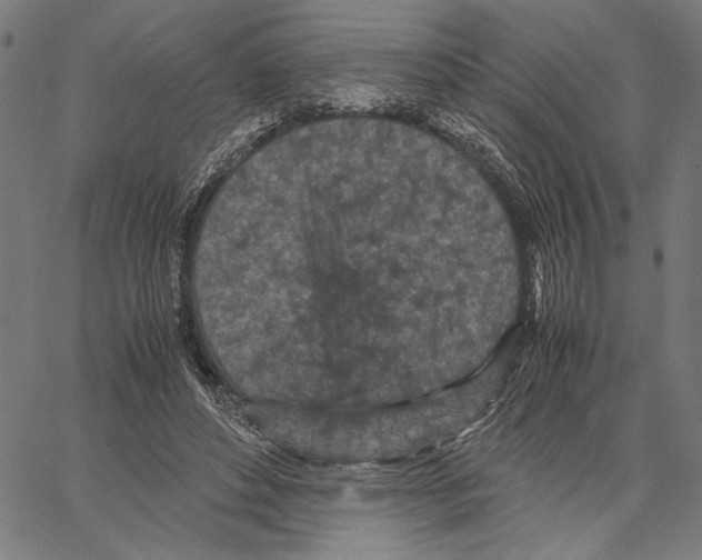 X0000066940496200604211753