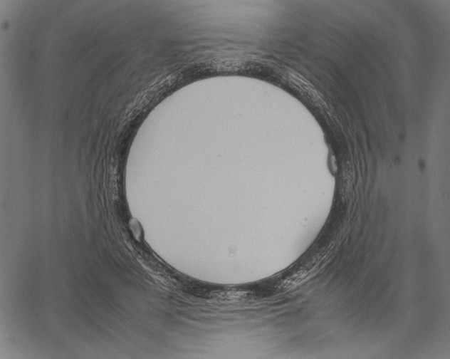 X0000066940497200604211753