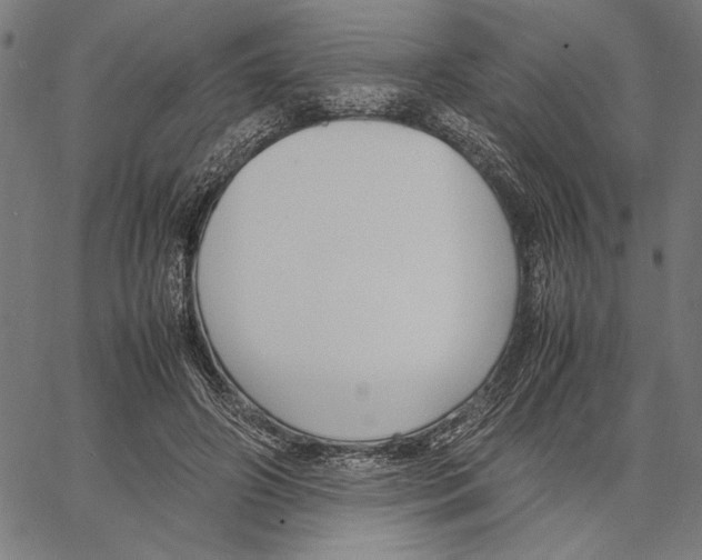 X0000066940498200604211753