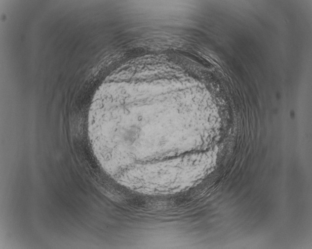 X0000066940499200604211753