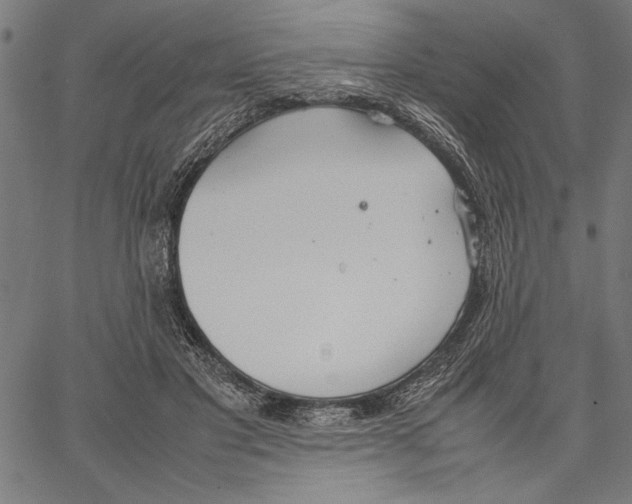 X0000066940501200604211753