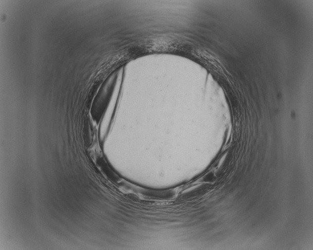 X0000066940503200604211753