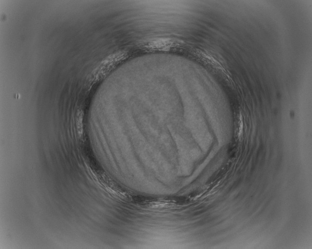 X0000066940504200604211753