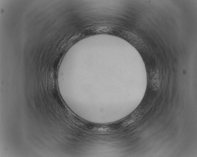 X0000066940506200604211753