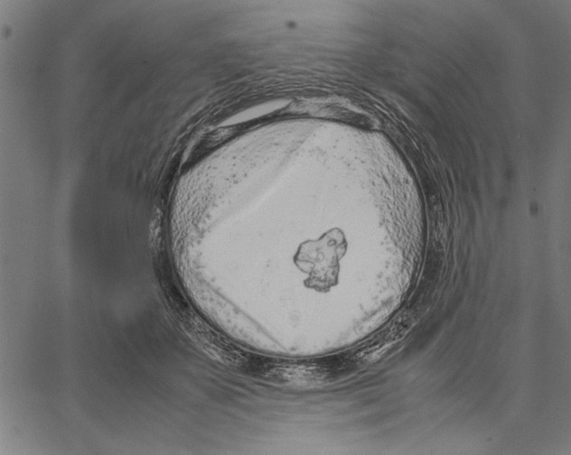 X0000066940507200604211753