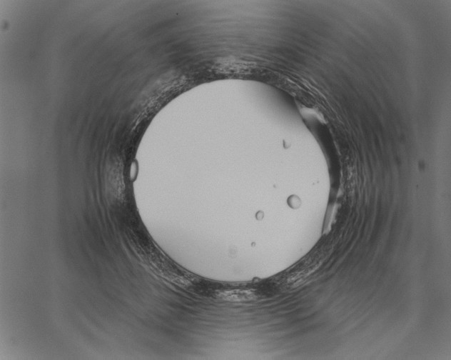 X0000066940508200604211753