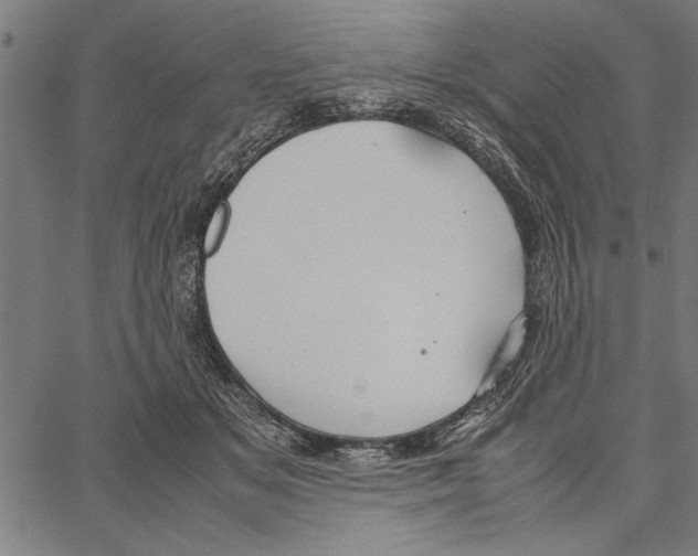 X0000066940509200604211753