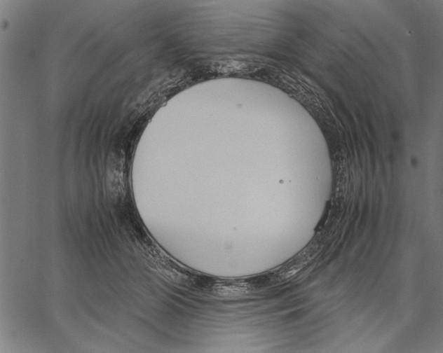 X0000066940510200604211753