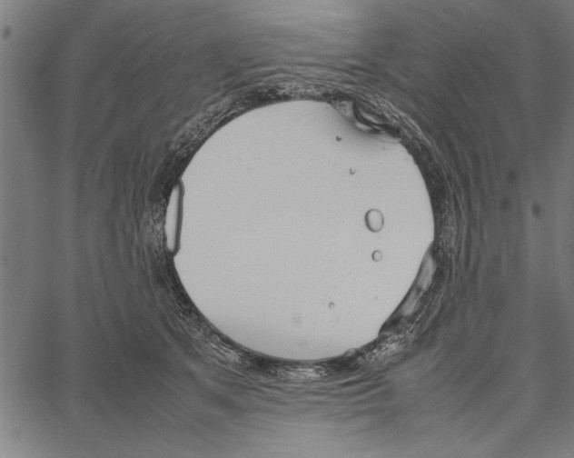 X0000066940513200604211753