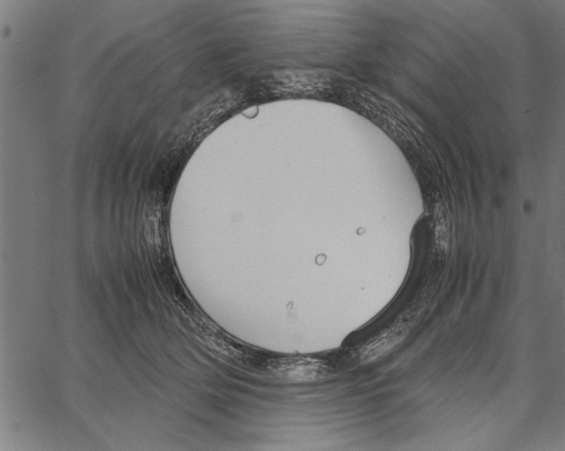 X0000066940514200604211753