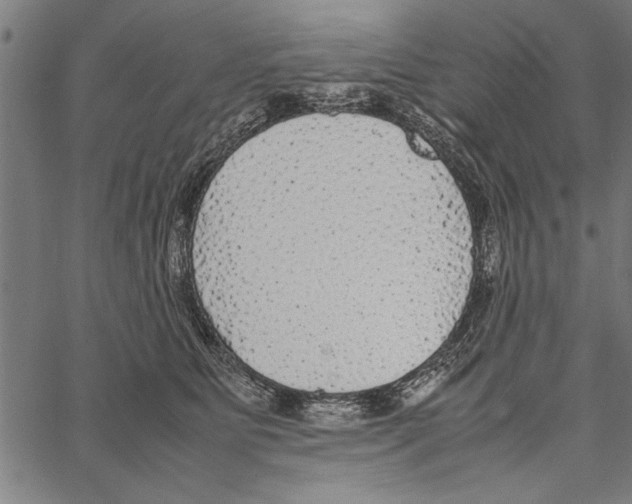 X0000066940515200604211753