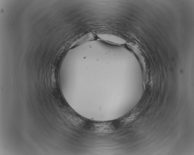 X0000066940516200604211753