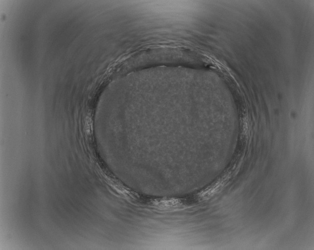 X0000066940517200604211753