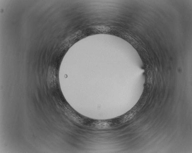 X0000066940518200604211753