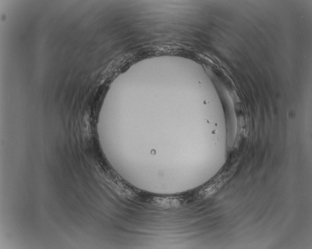 X0000066940520200604211753