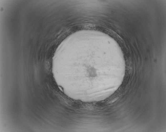 X0000066940523200604211753