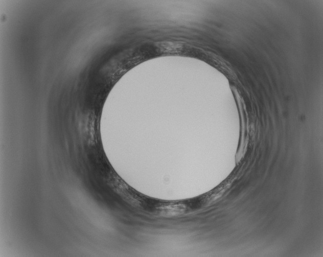 X0000066940525200604211753