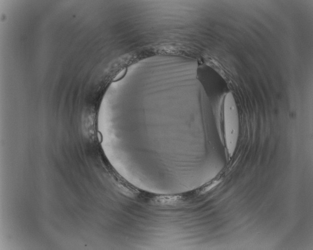 X0000066940526200604211753