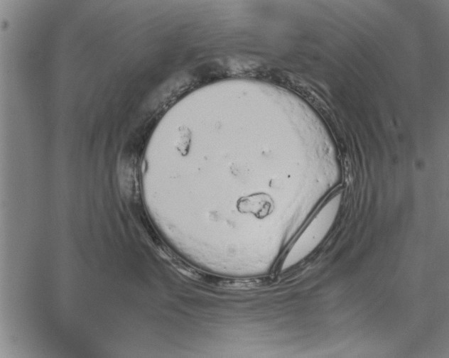 X0000066940527200604211753