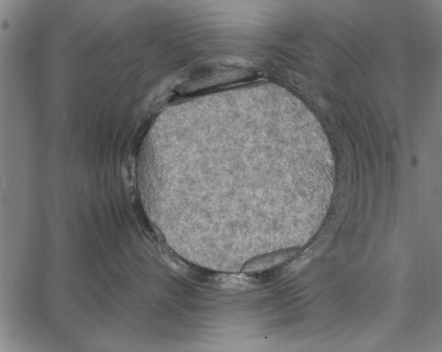 X0000066940528200604211753