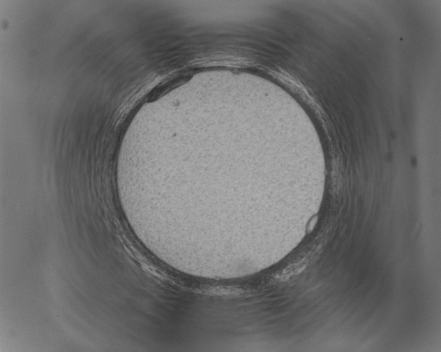 X0000066940529200604211752