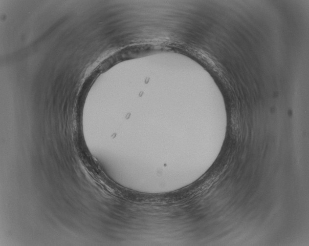 X0000066940532200604211752