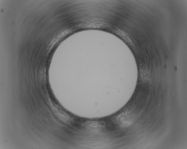 X0000066940534200604211752