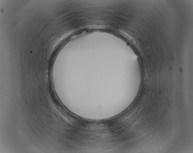 X0000066940535200604211752