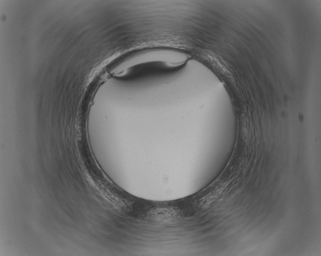 X0000066940536200604211752