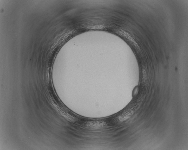 X0000066940541200604211752