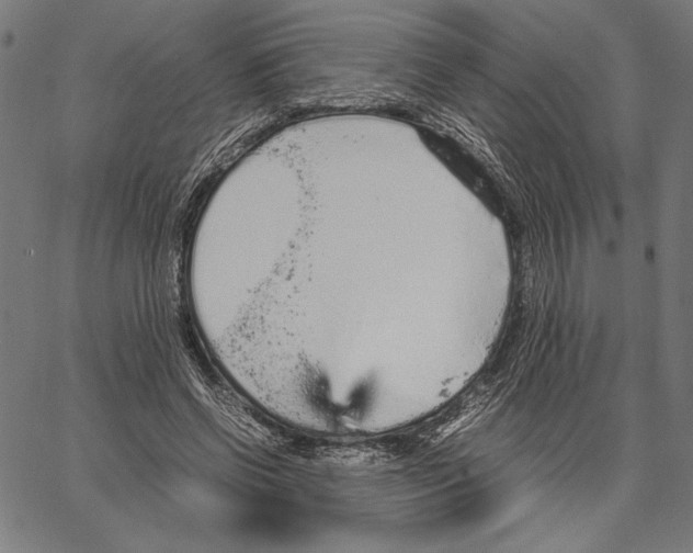 X0000066940542200604211752