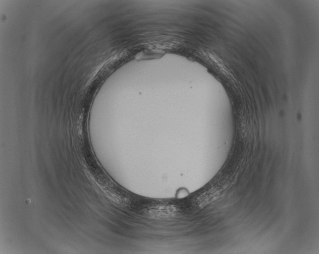 X0000066940543200604211752