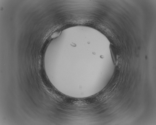 X0000066940544200604211752