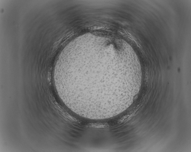 X0000066940545200604211752