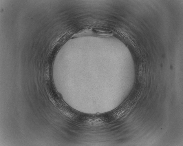 X0000066940547200604211752