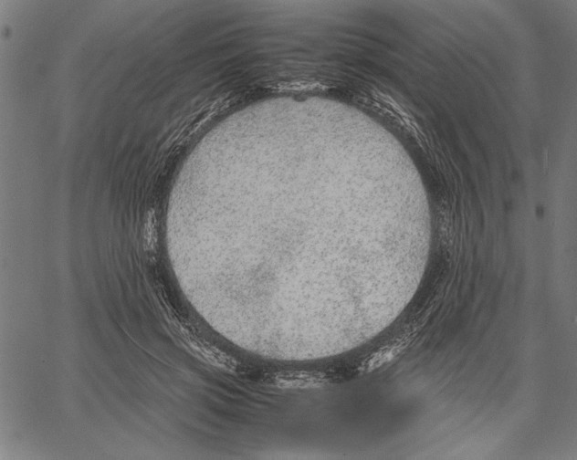 X0000066940549200604211752