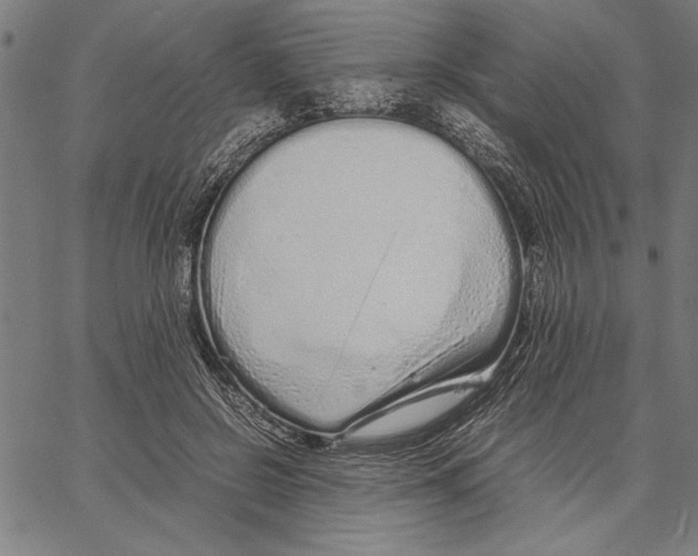 X0000066940550200604211752