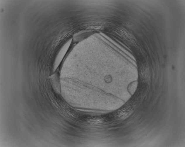 X0000066940551200604211752