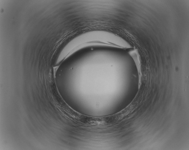 X0000066940552200604211752