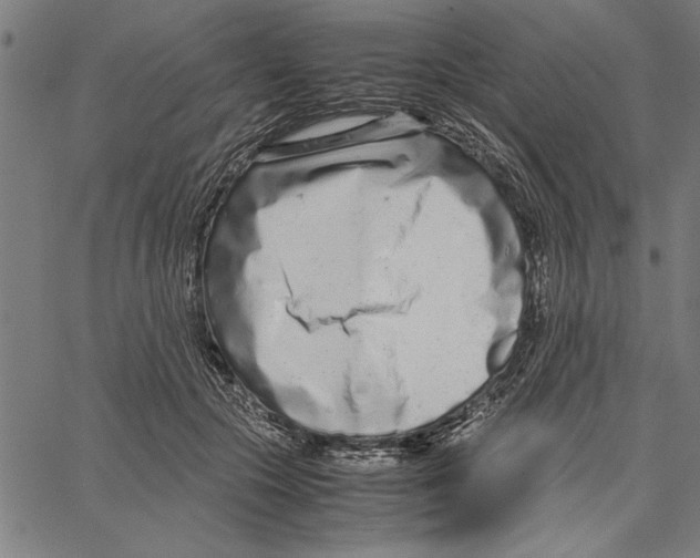 X0000066940553200604211752